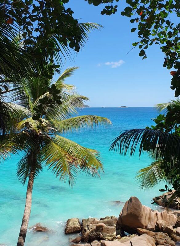 Traumziel Seychellen